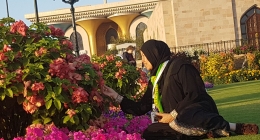 WhatsApp Image 2017-12-29 at 22.56.05