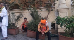 WhatsApp Image 2018-11-24 at 11.28.12